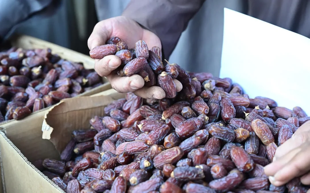 اختتام المرحلة الأولى من موسم تمور العُلا وانطلاق المرحلة الثانية بسوق المزارعين حتى منتصف نوفمبر