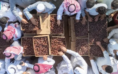 الهيئة الملكية لمحافظة العُلا تختتم مزاد التمور بإيرادات تتجاوز 13 مليون ريال ونمو 48% عن الموسم الماضي