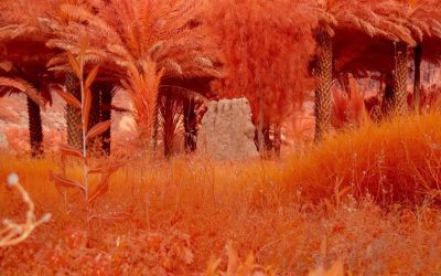 متحف الفن المعاصر في العُلا ومركز بومبيدو يعلنان عن معرض «أرضُنا» فبراير المقبل