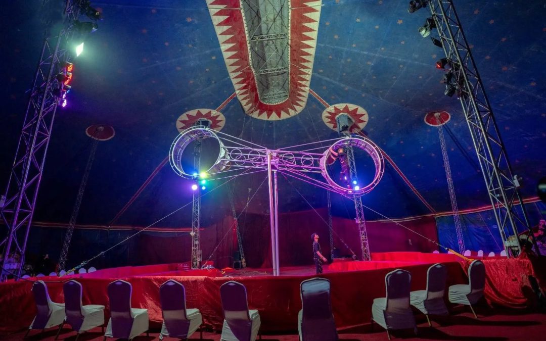 فعالية السيرك العالمي تجذب زوار رالي حائل باها تويوتا الدولي 2026