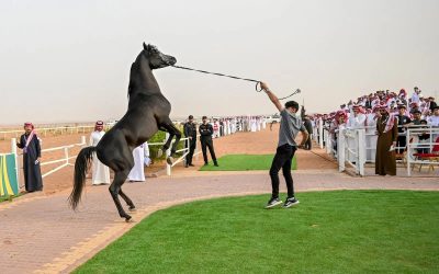 موسم فروسية حائل 2026 يقدم تجربة ترفيهية وتراثية متكاملة ويستقطب حضورًا كثيفًا