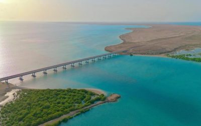 انطلاق فعاليات “ليالي الحريد 22” في جزر فرسان لتعزيز التراث البحري والسياحة الثقافية بجازان