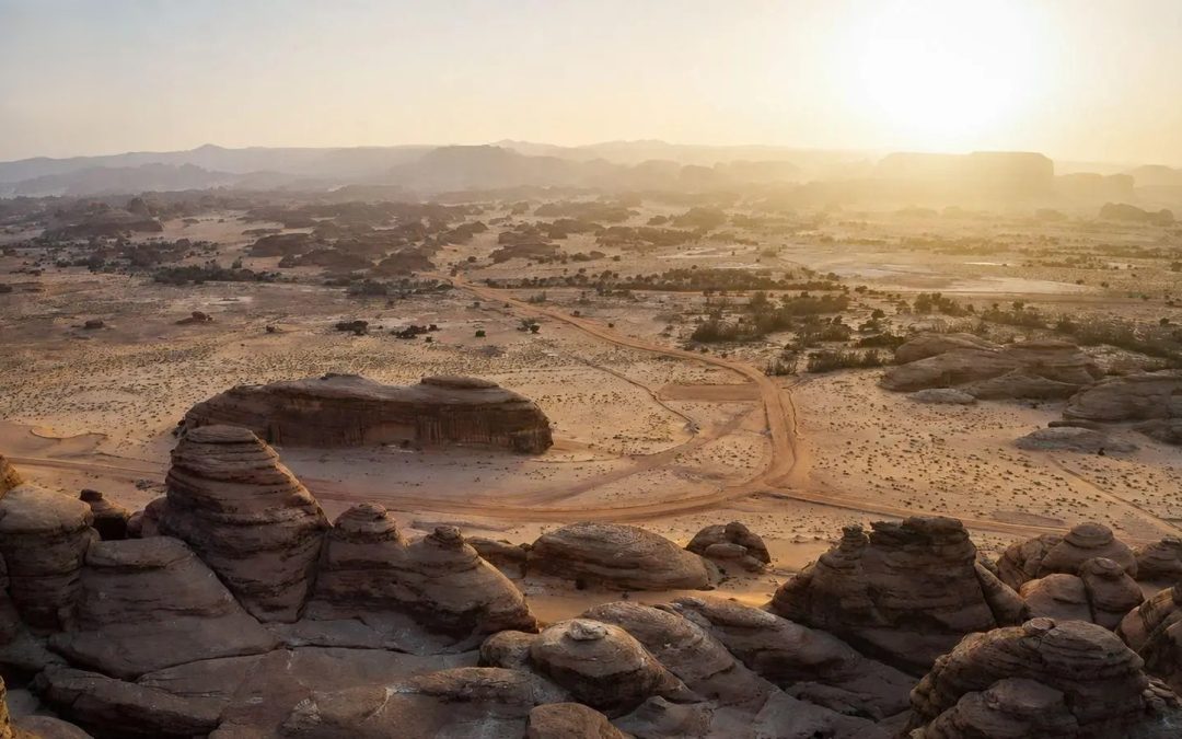 العُلا تحتفي باليوم العالمي للمتاحف وتواصل ترسيخ مكانتها كأكبر متحف حيّ في العالم