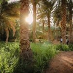 الهيئة الملكية للعُلا تطلق موسم “خيرات العُلا” 2026-2027 لدعم الزراعة والاستدامة وتمكين المزارعين