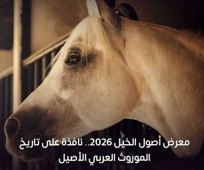 معرض اصول الخيل 2026
