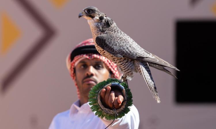 مهرجان الملك عبدالعزيز للصقور 2026