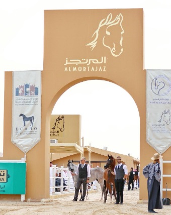 Al-Murtajaz Championship Showcases Arabian Horse Beauty in Riyadh