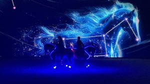 عرض أصايل للخيول 2024