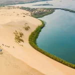 Al-Asfar Lake: A Hidden Natural Gem Amid Al-Ahsa's Golden Dunes