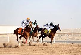 Madinah Horse Racing Season Kicks Off With Its First Meet on November 29