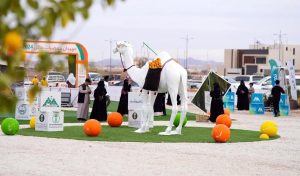 Hail Citrus Festival 2024 Draws More Than 32,000 Visitors in Its Fourth Edition