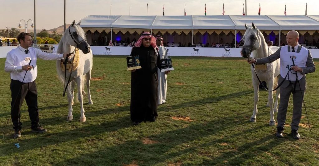 Al Adhba Stud Shines at Seventh International Purebred Arabian Horse Beauty Show
