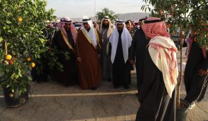 Al-Hariq's Ninth Citrus Festival Opens Under Riyadh Governor's Patronage, Drawing 180 Exhibitors