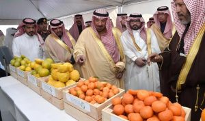 الأمير جلوي بن عبدالعزيز يدشن مهرجان نجران الوطني للحمضيات في نسخته الرابعة عشرة