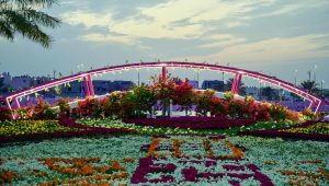 Fourth Flower Festival at Qatif's Corniche Draws More Than 80,000 Visitors