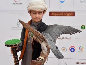 Qassim Falcon Festival Draws Falconry Enthusiasts Amid Thrilling Competitive Atmosphere