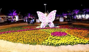 Qatif Flower Festival 2025 Opens: 800,000 Blooms Adorn the Waterfront