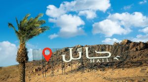 حائل تستعد لاحتضان "منتدى حائل للاستثمار" في مايو.. 125 فرصة بـ29.9 مليار ريال ومشاركة واسعة من كبار المستثمرين
