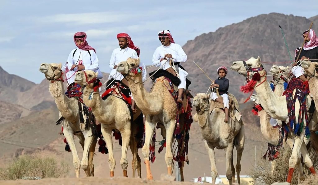 "الهجانة" يحتفلون بالعيد في بادية تبوك على أنغام الهجيني