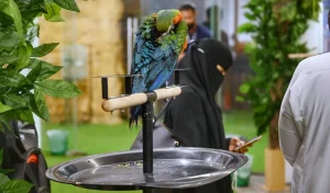 "World of Birds and Reptiles" at City Walk: An Interactive Experience Combining Fun and Knowledge for Nature Lovers
