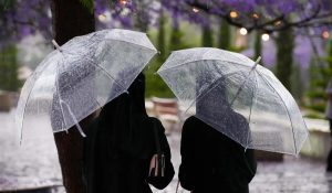 Abha Glows with Rain and Jacaranda Blooms in a Springtime Spectacle