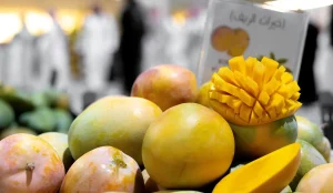 Umluj Governor Launches Fourth Mango Festival with 35 Farmers and Innovative Processed Products