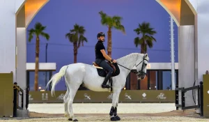 Horse Stables in Al-Ammariyah: Summer Destinations North of Riyadh Blending Equestrianism and Nature