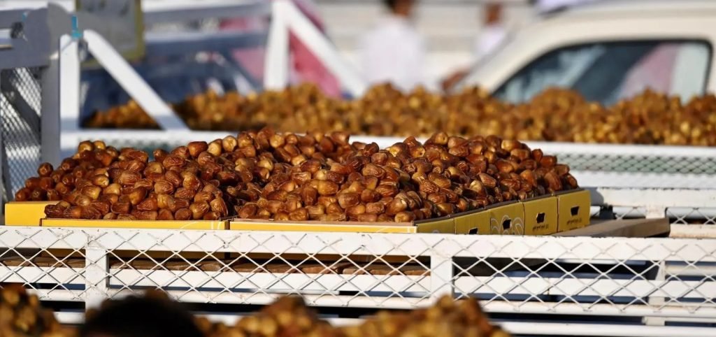 كرنفال بريدة للتمور يدخل مرحلته الذهبية مع وفرة الإنتاج وتنوع الأصناف