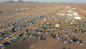 ندوة علمية في مزاد المدينة المنورة الثاني للإبل تبرز مكانة الإبل بين الأصالة والفرص الاقتصادية