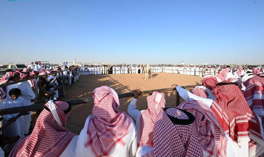 أكثر من 160 ألف زائر لفعاليات مزاد حائل للإبل 2025.. تراث أصيل يجمع الثقافة والاقتصاد