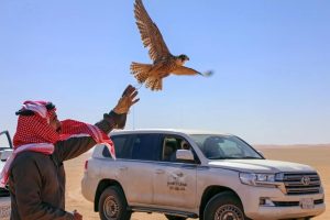 مهرجان الصقور بالقصيم في الأسياح يواصل فعاليات نسخته التاسعة 2026