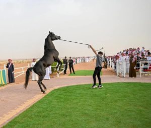 موسم فروسية حائل 2026 يقدم تجربة ترفيهية وتراثية متكاملة ويستقطب حضورًا كثيفًا
