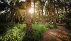 الهيئة الملكية للعُلا تطلق موسم "خيرات العُلا" 2026-2027 لدعم الزراعة والاستدامة وتمكين المزارعين