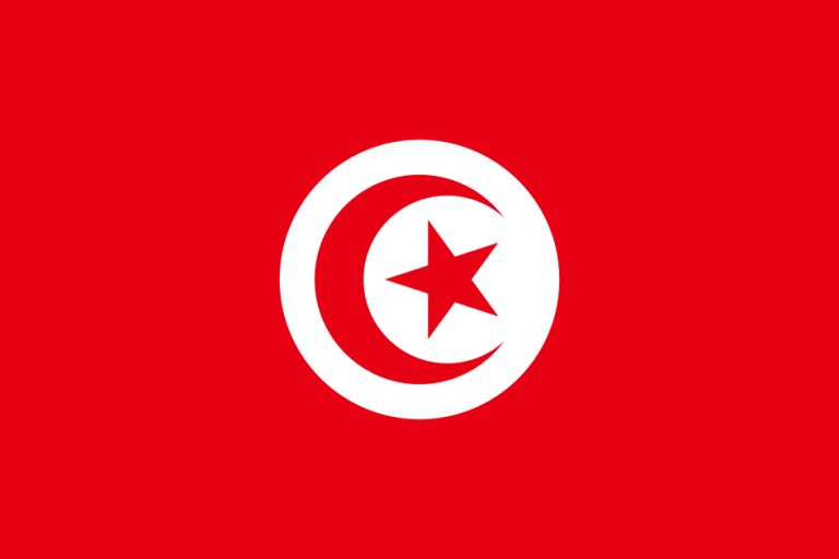 سفارة تونس