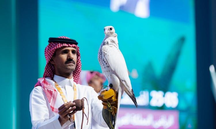 Hafar Al-Batin Falcon Festival 2024