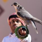 نادي الصقور السعودي – الرياض