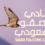 Al Melwah Falcon Race 2026