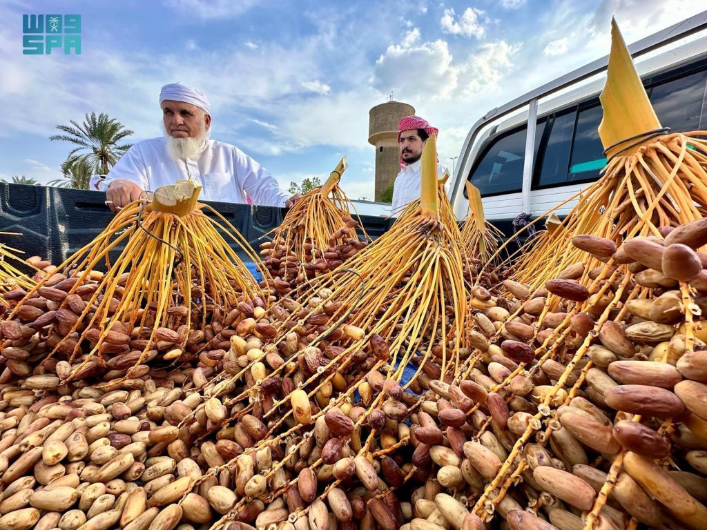 مهرجان تمور نجران الأول 2024