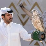 صقّار يحمل صقرًا في صورة تقرير انطلاق سباق الملواح 2026