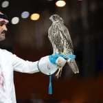 صقّار يحمل صقرًا على قفازه في صورة تقرير الليلة الثالثة للمزاد المنغولي