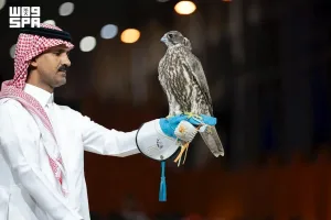 صقّار يحمل صقرًا على قفازه في صورة تقرير الليلة الثالثة للمزاد المنغولي